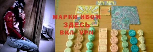 прущий лед Бородино