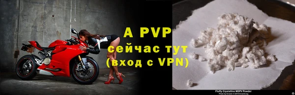 не бодяженный Богданович