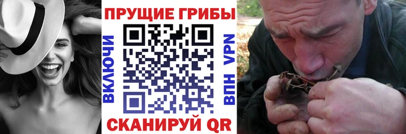 Псилоцибиновые грибы Psilocybe  kraken ONION  Раменское 